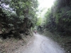 01233-eeuwenoude-paden