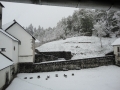 dsc02624