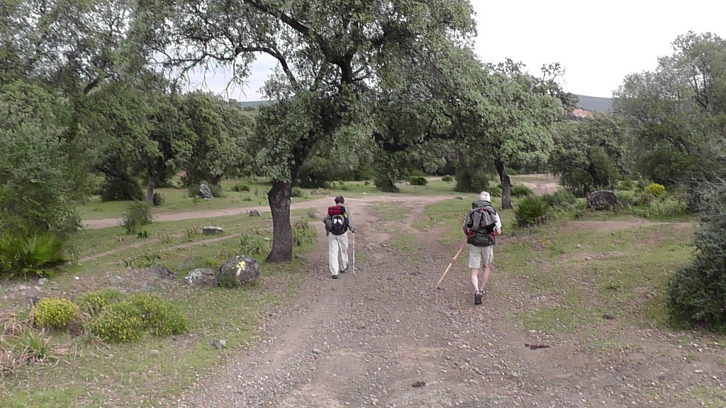 mooi stukje natuurpark